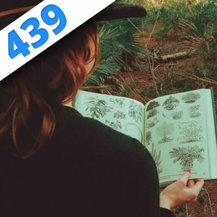 cover art for 439 - L'encyclopédie des plantes alimentaires, avec Michel Chauvet