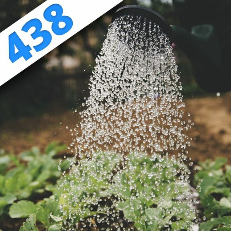 cover art for 438 - Pintes, pingouins et plantes