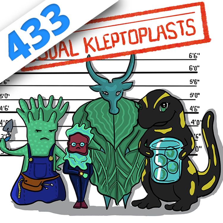 cover art for 433 - Usual Kleptoplasts, fiction scientoradiophonique