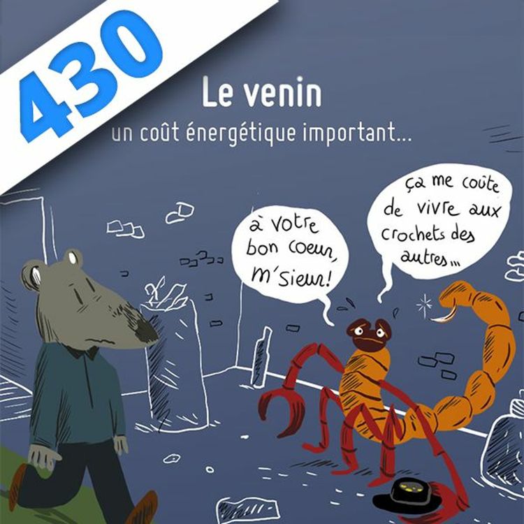 cover art for 430 – Venins, Vidi, Vici
