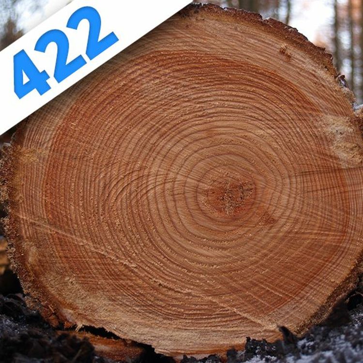 cover art for 422 - Dendrochronologie : les cernes du temps