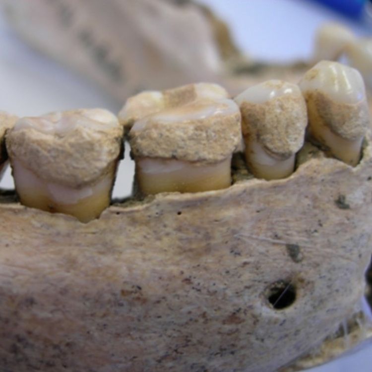 cover art for 391 - Les dents de la mort, avec Perrine Munaro