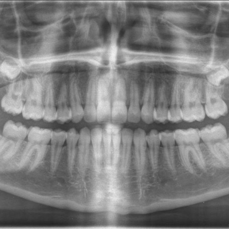 cover art for 385 - Croquer la science à pleine dents
