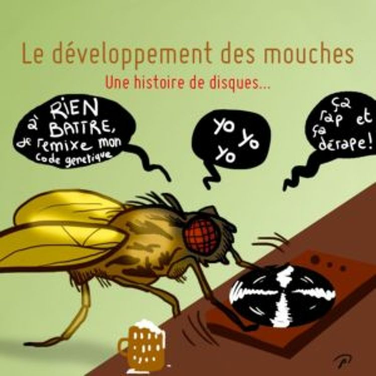 cover art for 305 - Evo-Devo, la suite