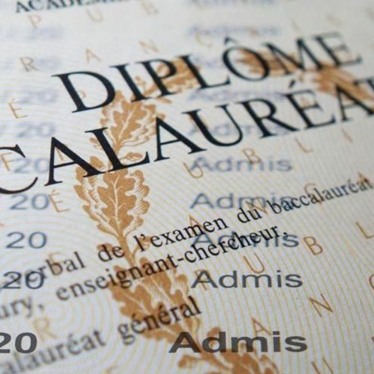 cover art for #13 Le Bac Avec Louise