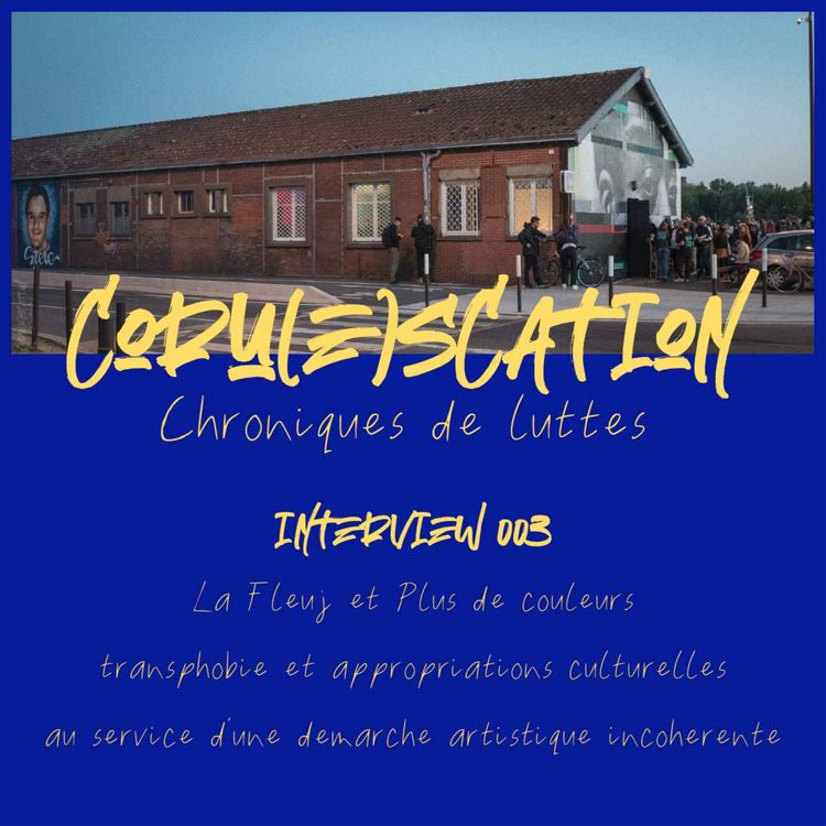 cover art for La Fleuj et le collectif Plus de couleurs : transphobie et appropriations culturelles au service d'une démarche artistique incohérente