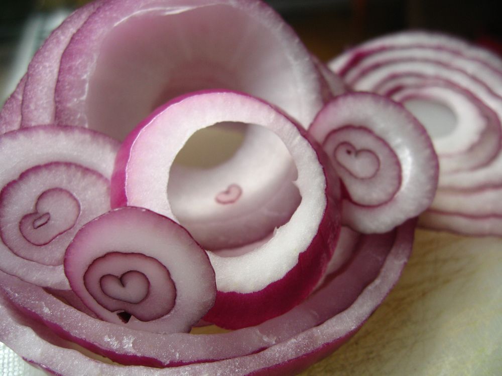 cover art for Capacity - moving to expansiveness – neuroscience, neurobiology and the social engagement system