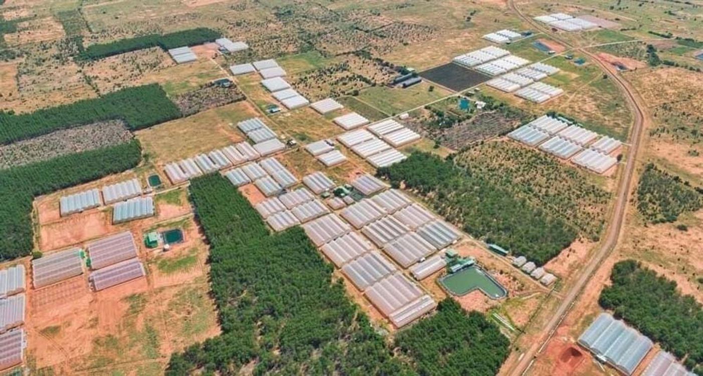 cover art for Bán đất xã Hòa Thắng Bình Thuận giá tốt năm 2021