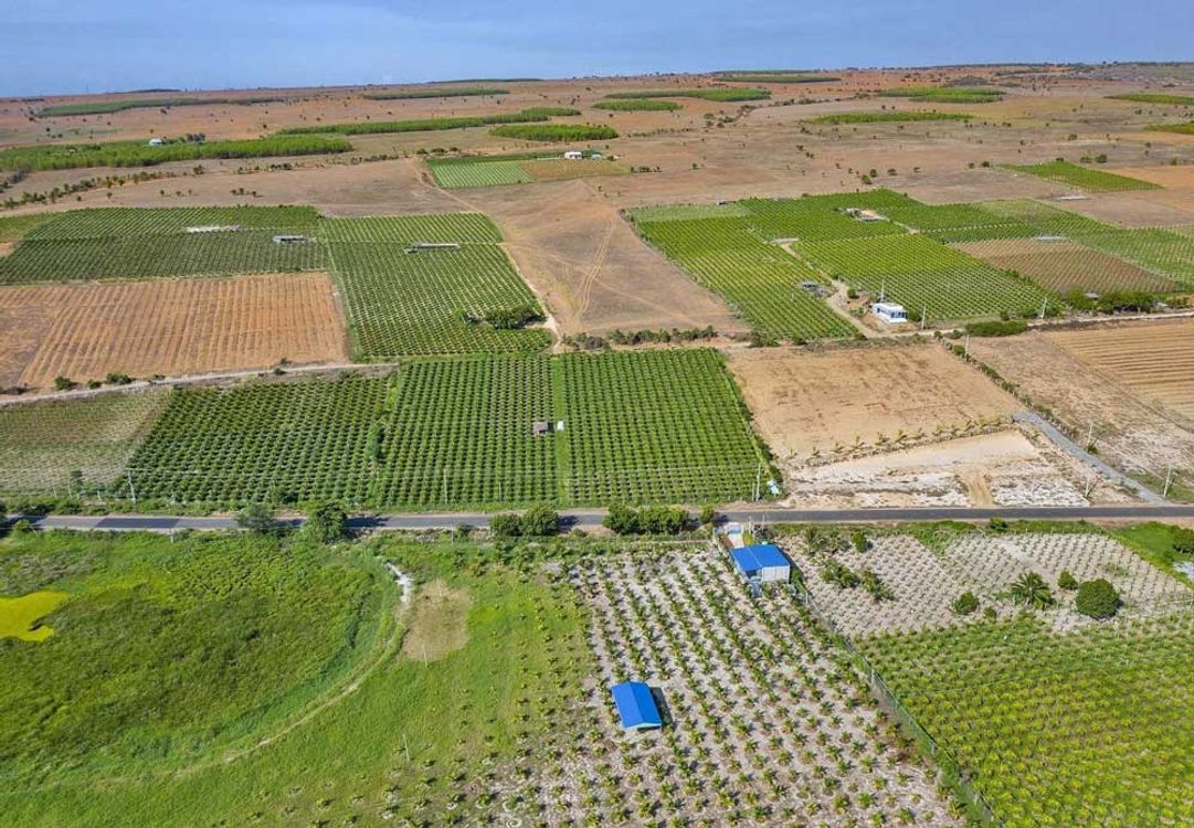 cover art for Khách mua đất Bắc Bình Bình Thuận cần biết trước khi xuống tiền