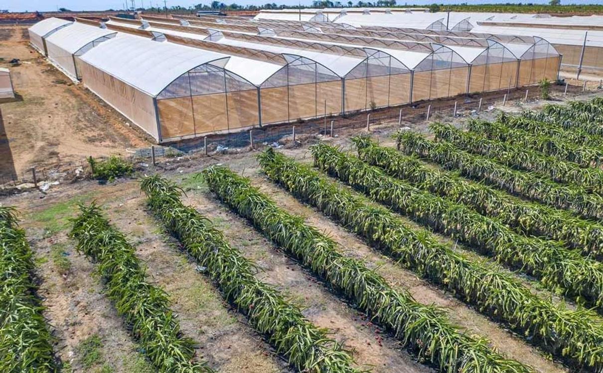 cover art for Có nên mua đầu tư đất Bình Thuận năm 2021?