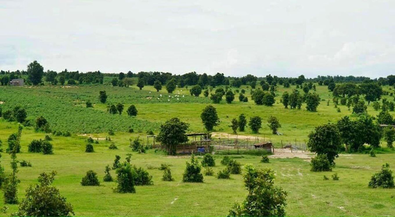 cover art for Mua bán đất nông nghiệp Bình Thuận giá rẻ năm 2021