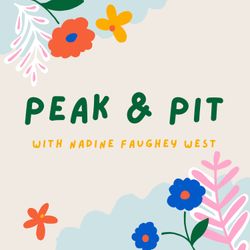 cover art for Peak and Pit