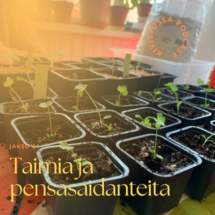 cover art for Taimia ja pensasaidanteita