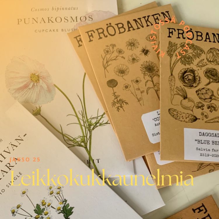 cover art for Leikkokukkaunelmia