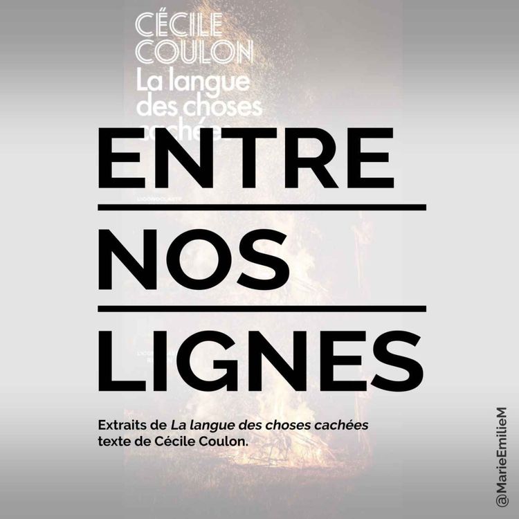 cover art for Cécile Coulon, La langue des choses cachées