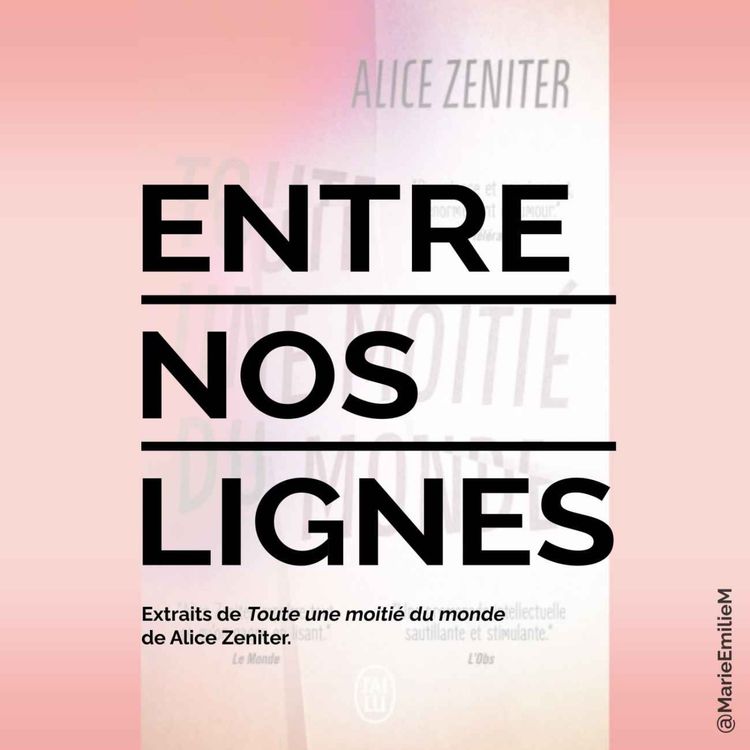 cover art for Alice Zeniter, Toute une moitié du monde