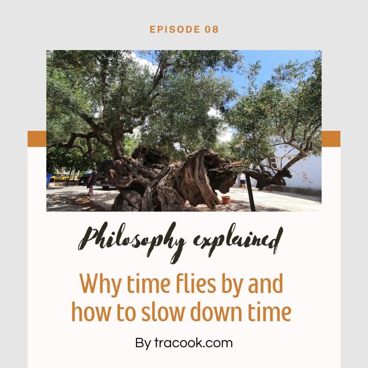 cover art for Why Time Flies By And How To Slow Down Time