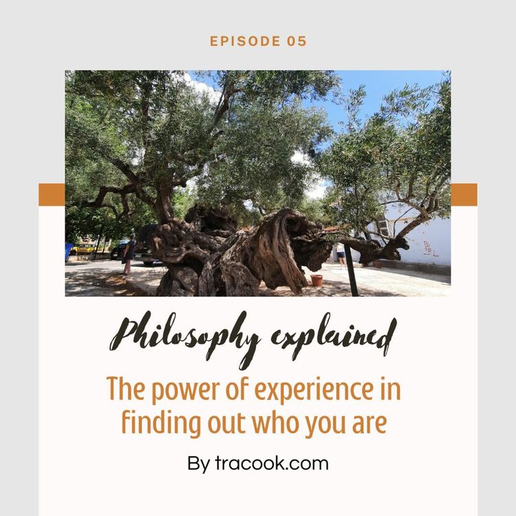 cover art for The Power Of Experience In Finding Out Who You Are - Neale Donald Walsch's philosophy explained