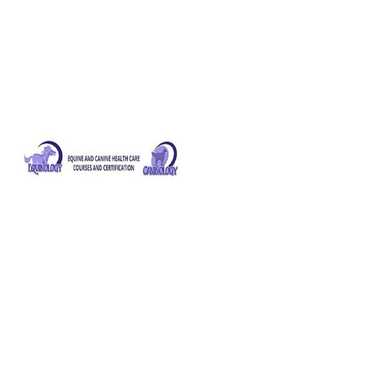 cover art for Equine Massage Therapy Course