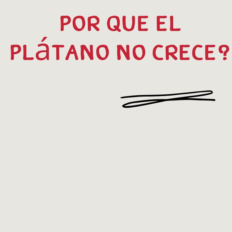 cover art for Agua y alimentos