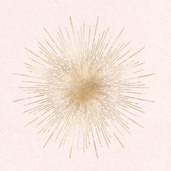 cover art for Align and Create