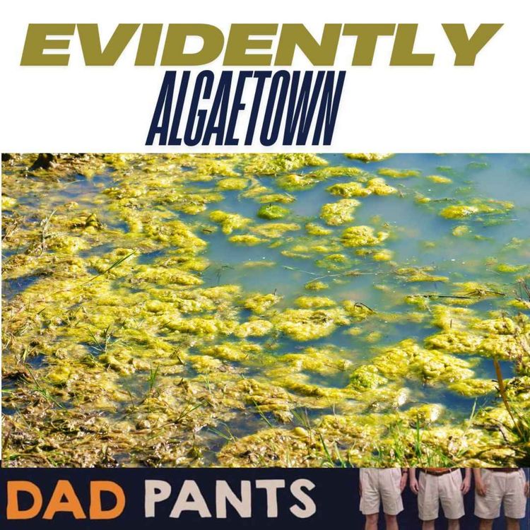 cover art for Evidently Algaetown
