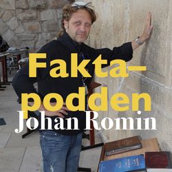 cover art for Faktapodden