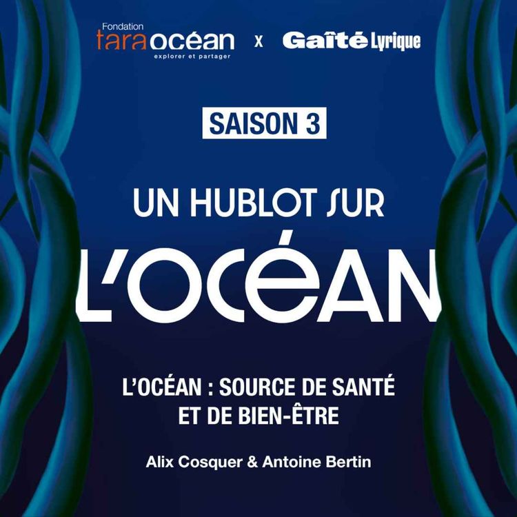cover art for L'Océan: source de santé et de bien-être - Antoine Bertin & Alix Cosquer