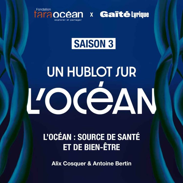 cover art for L'Océan: source de santé et de bien-être - Antoine Bertin & Alix Cosquer 