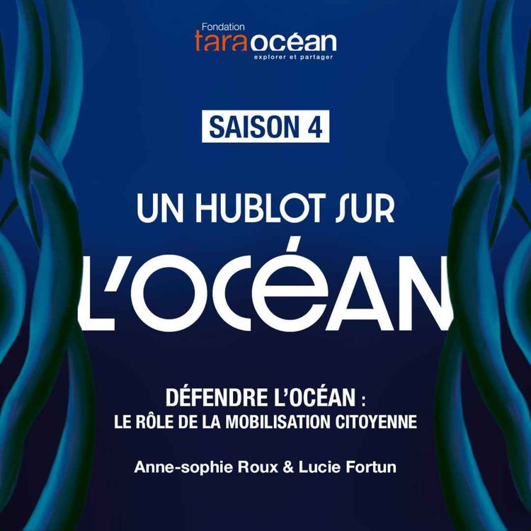 cover art for Défendre l'Océan : le rôle de la mobilisation citoyenne 