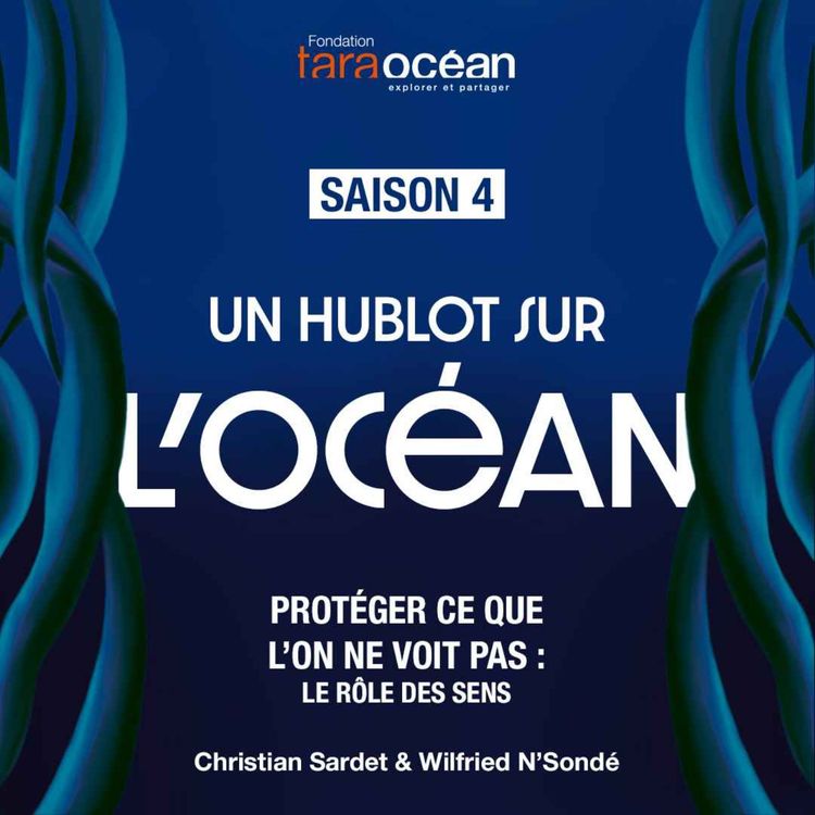 cover art for Protéger ce que l’on ne voit pas : le rôle des sens