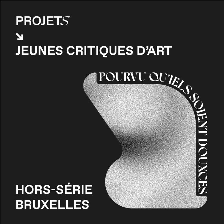 cover art for POURVU QU’IELS SOIENT DOUXCES - HORS SÉRIE BRUXELLES