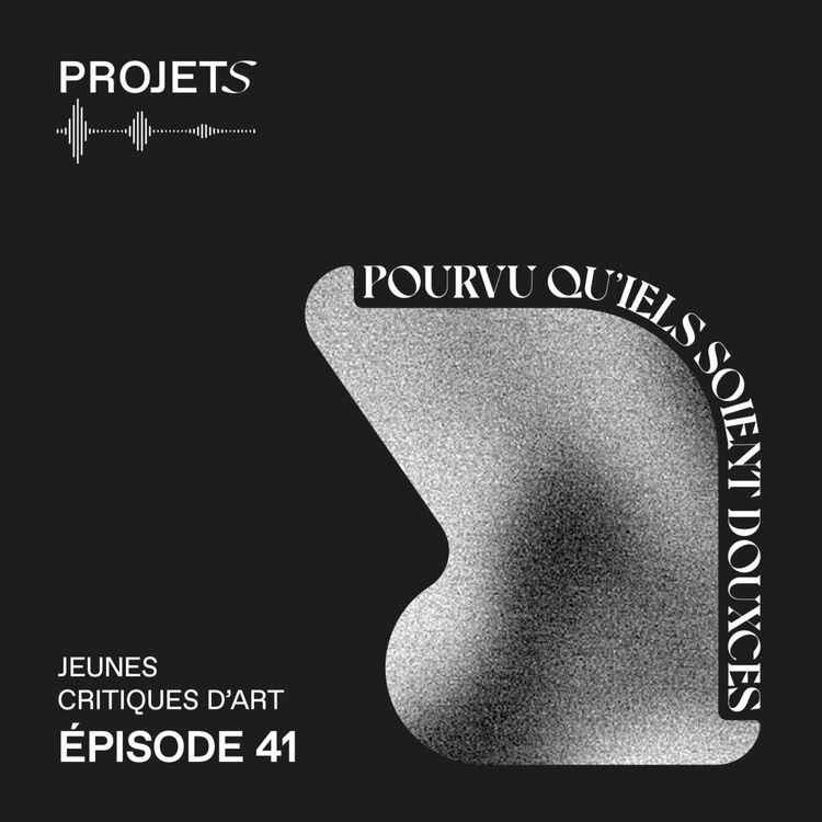 cover art for POURVU QU’IELS SOIENT DOUXCES - E41