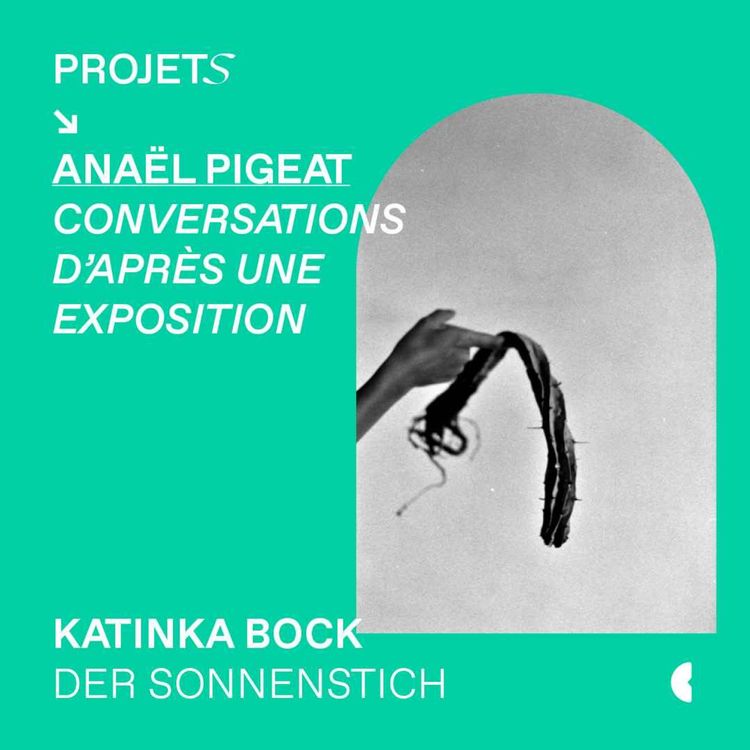 cover art for Conversations d’après une exposition avec Anael Pigeat