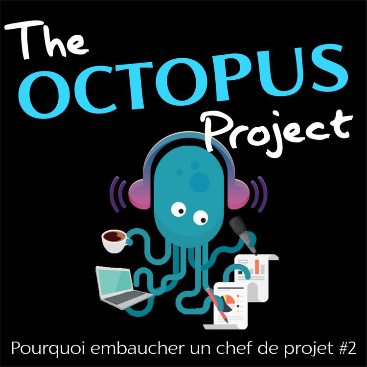 cover art for Episode 2 : Pourquoi embaucher un chef de projet