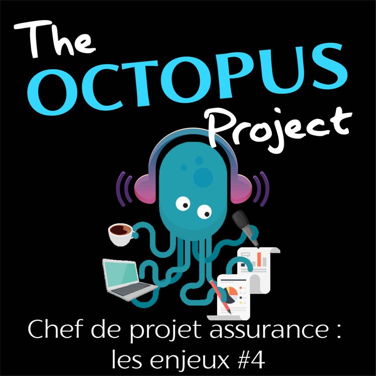 cover art for Episode 4 : Chef de projet assurance, les enjeux