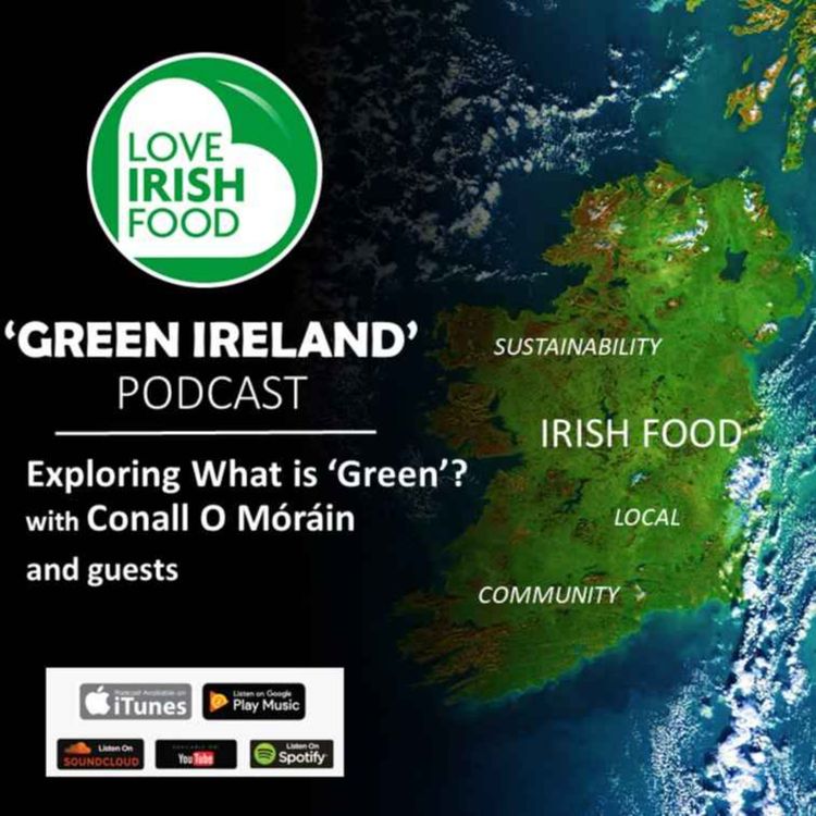 cover art for "What is Green? Irish Food Brands - What do they mean to us?" (Checkout Top 100 Brands 2021)