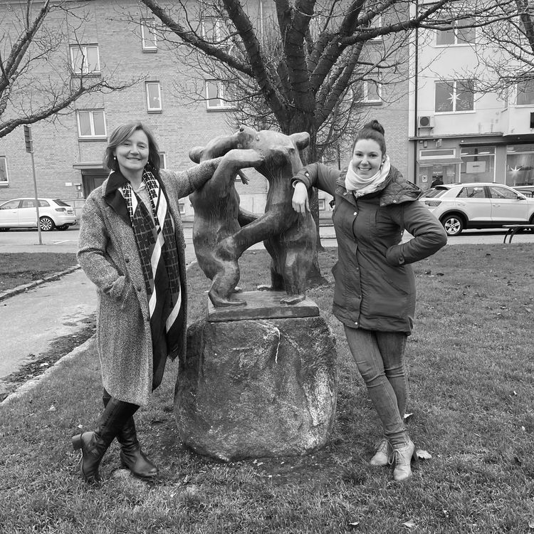 cover art for Björnfamiljer i Åstorp