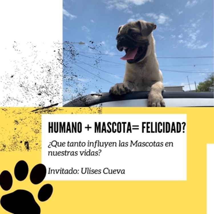 cover art for Ángeles de 4 patas🐶