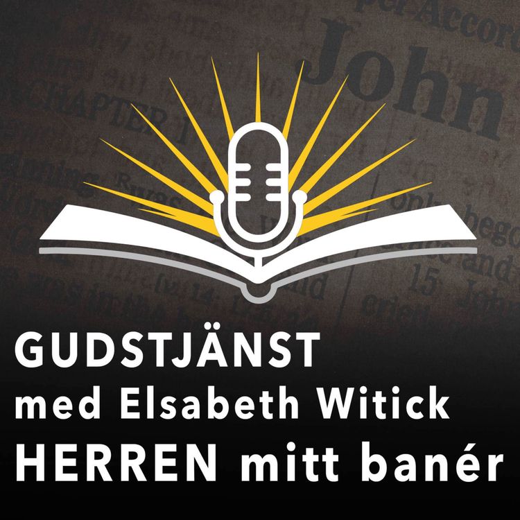 cover art for HERREN är mitt banér