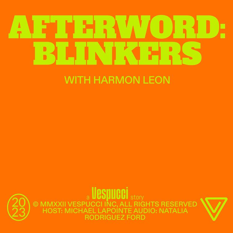 cover art for Afterword: Blinkers