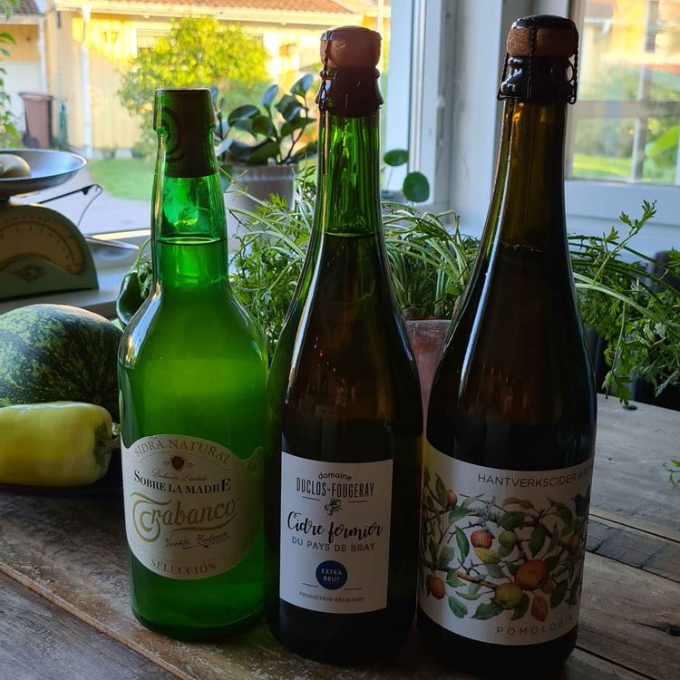 cover art for Ep. 10 - Torr cider, fössta tossdan i mass, äpplemos och hårvax