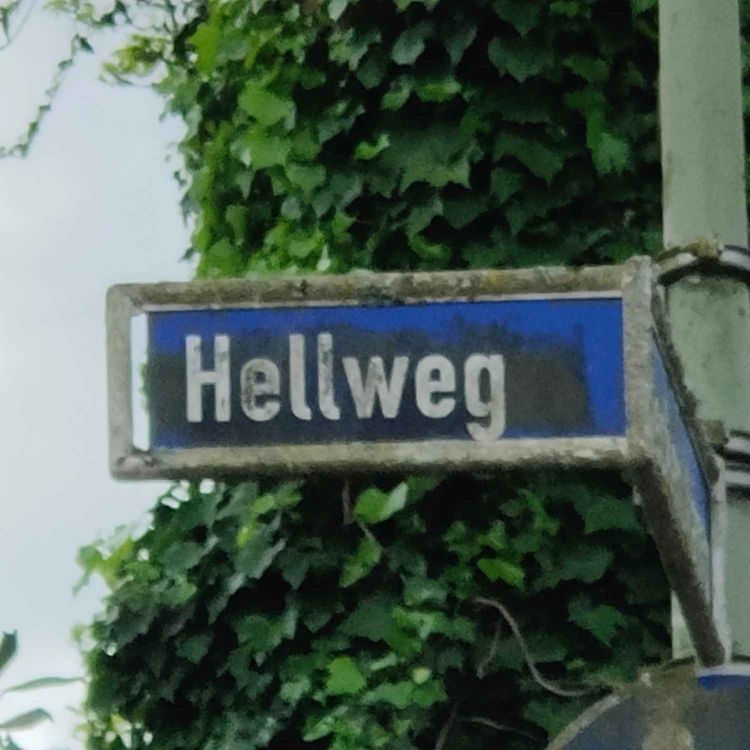 cover art for Auf dem Hellweg