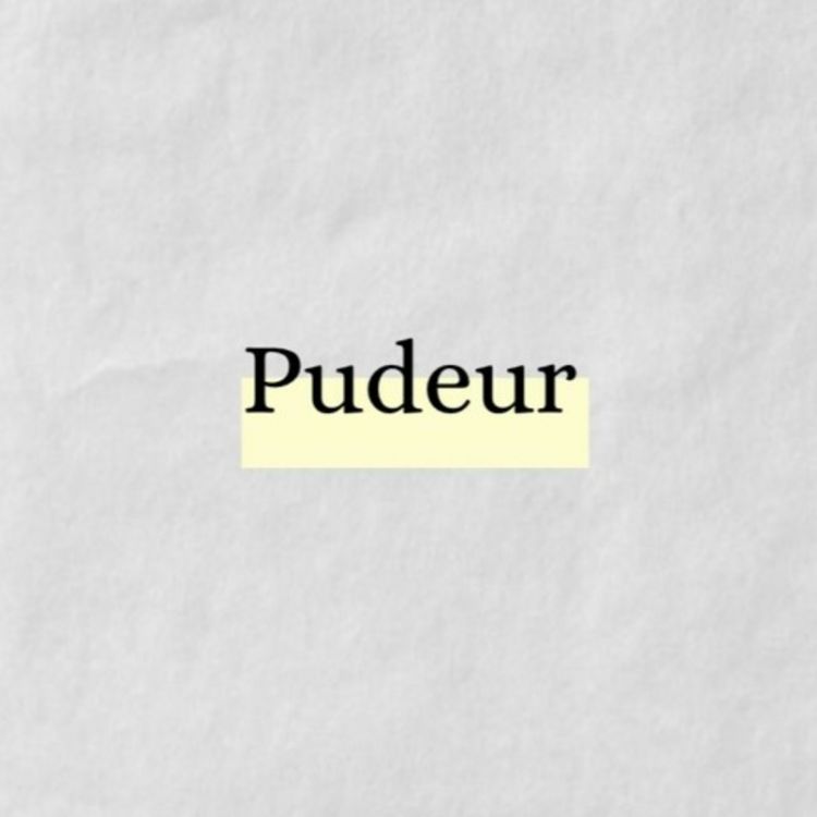 cover art for Pudeur Voice Note 3