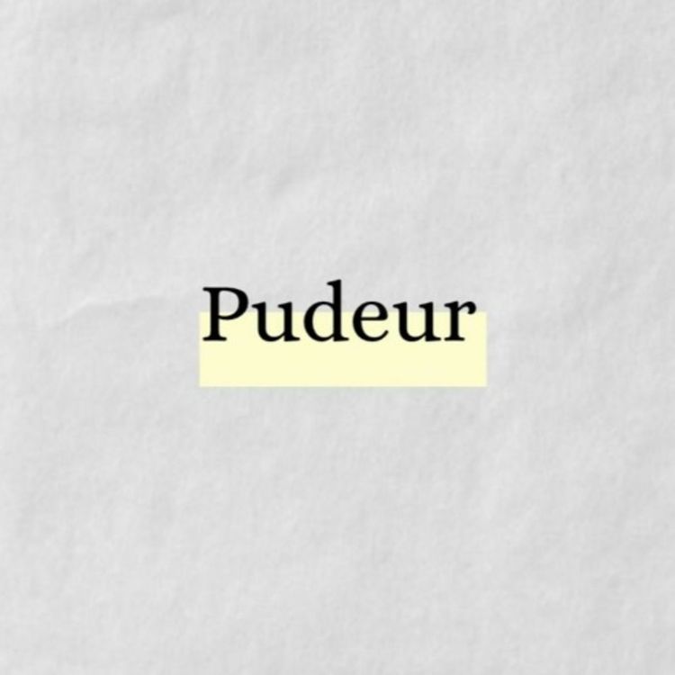 cover art for Pudeur Voice Note 6