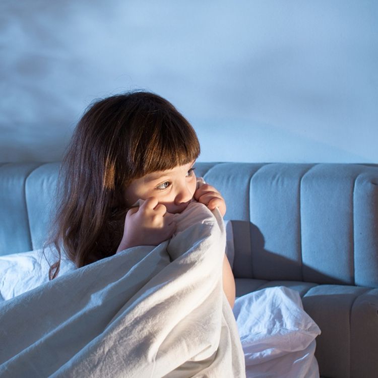 cover art for 37.- El miedo.