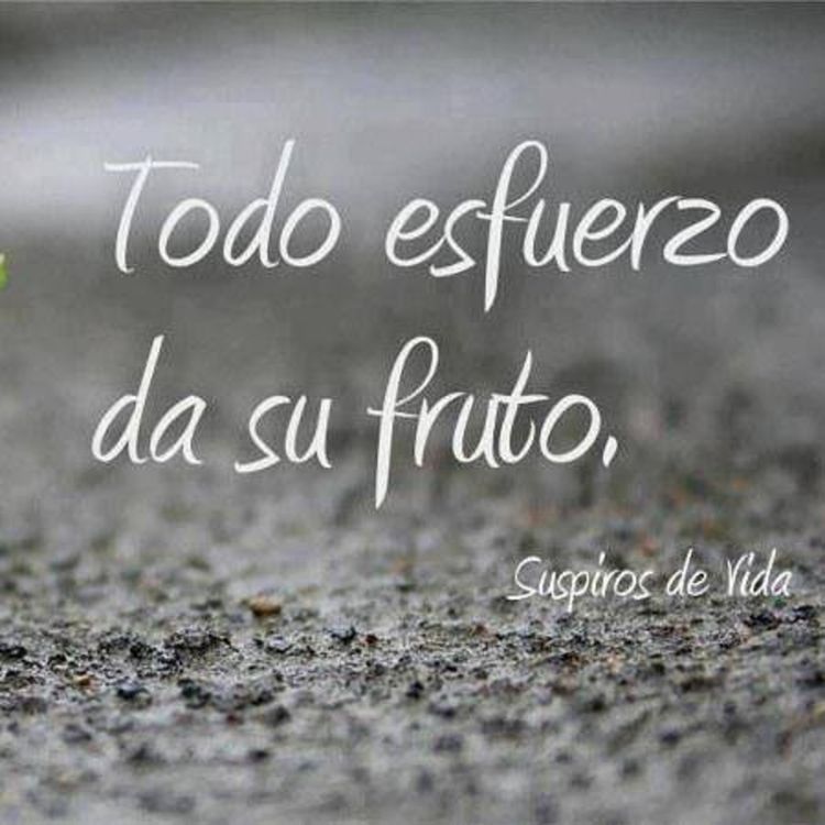 cover art for 32.- El inicio de los grandes proyectos 2a parte.