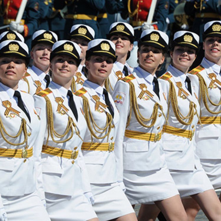 cover art for 15.- Disciplina