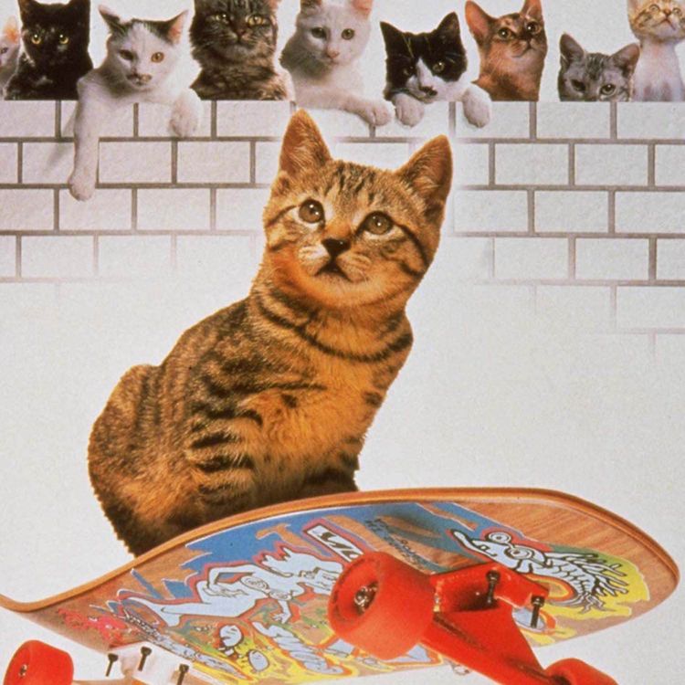 cover art for 170 - Cats on Park Avenue