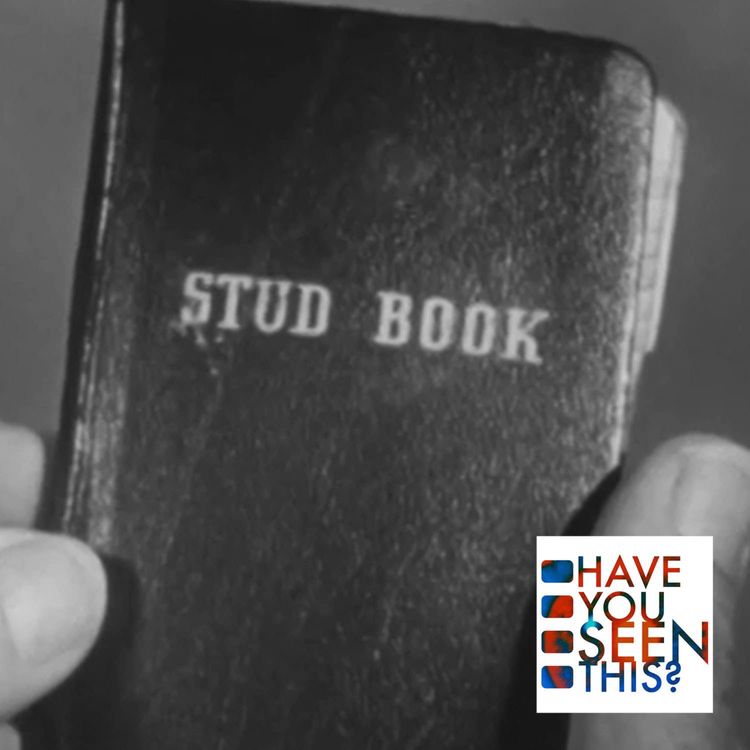 cover art for 205 - The Story of D.E. 733: Ship of Shame